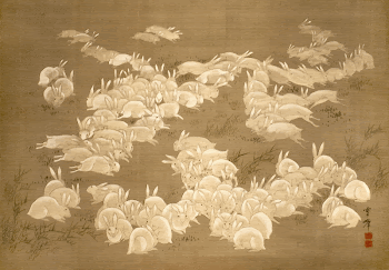 White rabbits (1765 - 1848) | Free Photo Illustration - rawpixel