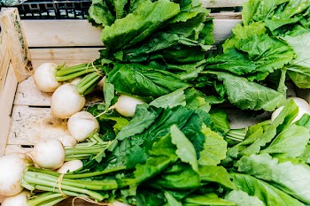 White Radishes