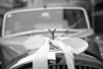 White Ribbon