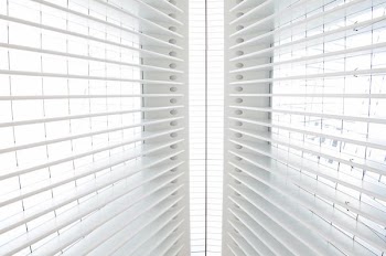 White ribs in the ceiling of the WTC transit hub
