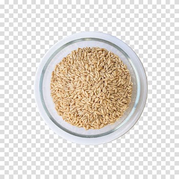 White rice Cereal Yellow rice Food, Big grain white rice transparent background PNG clipart