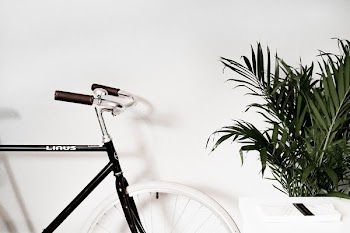 white road bike beside green plants