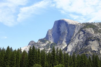 White Rocky Mountain and Green Trees