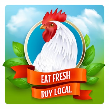 White rooster head advertisement poster Free Vector