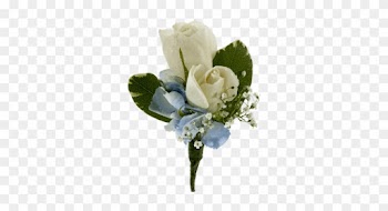 White Rose And Hydrangea Boutonniere • - Garden Roses