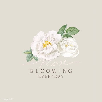 White rose blooming card design | Free stock vector - 581075