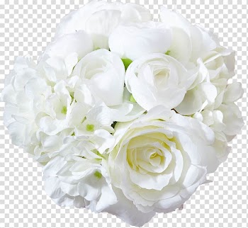 White rose bouquet, Garden roses Flower bouquet, White roses transparent background PNG clipart