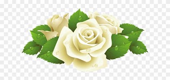 Клипарт Розы На Прозрачном Фоне - White Rose Clip Art Png