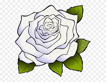 White Rose Clipart Png