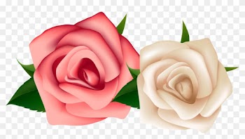 White Rose Clipart - Red And White Rose Png