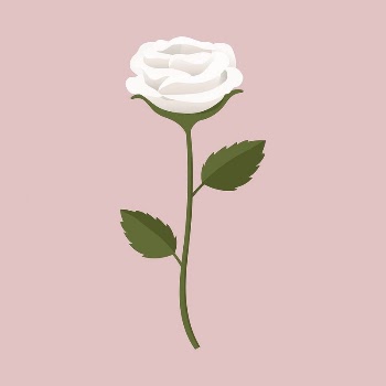 White rose collage element, cute | Free Vector Illustration - rawpixel
