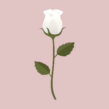 White rose collage element, cute | Free Vector Illustration - rawpixel