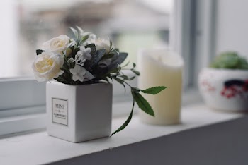 White Rose Decor Near Window