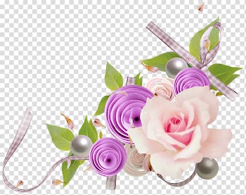 White rose flower , Frames Wedding Android, FLORES transparent background PNG clipart
