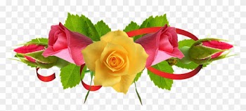 White Rose Png 16, Buy Clip Art - Flower Images Hd Rose Png