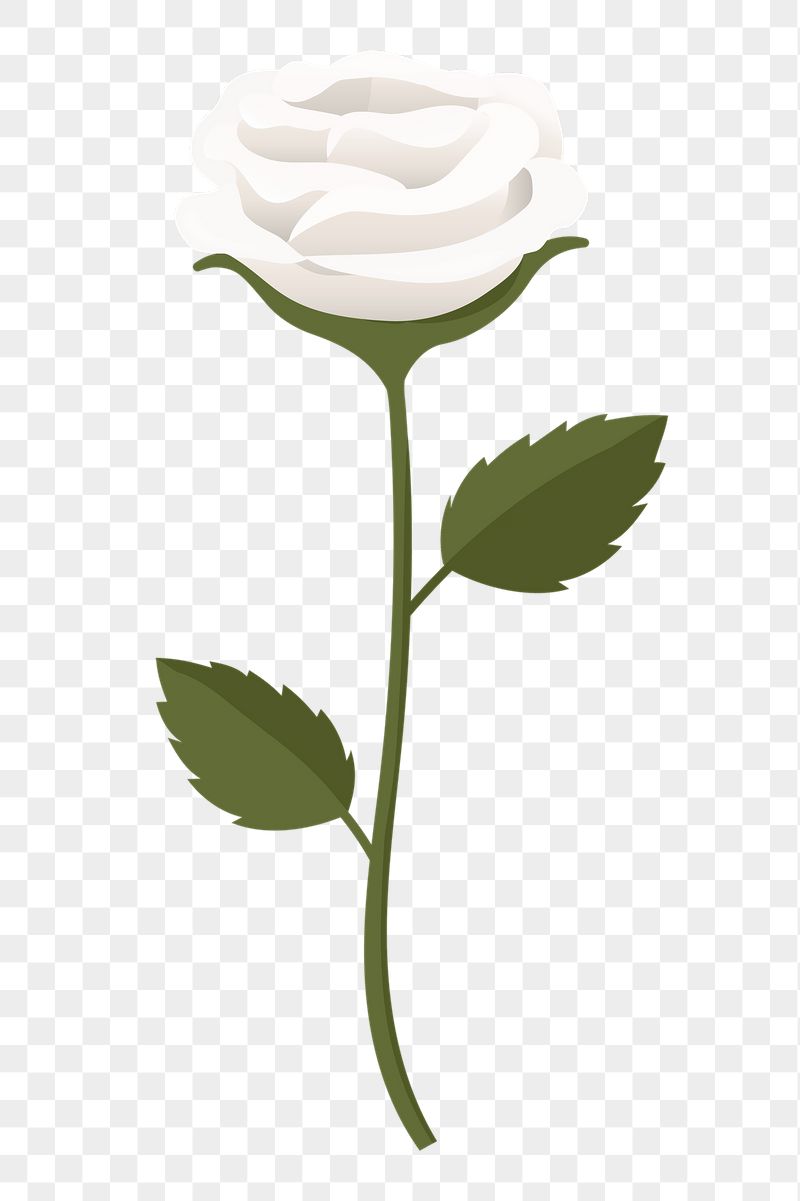White rose png sticker, cute | Free PNG Illustration - rawpixel