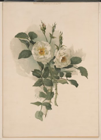 White roses on satin (1890) | Free Photo - rawpixel