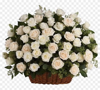 White Roses Png Hd Background - White Rose Fireside Basket Hd