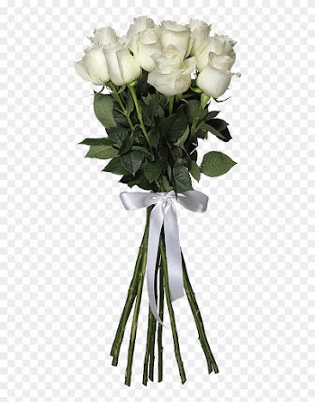 White Roses Png Hd Images - Roses Png Hd