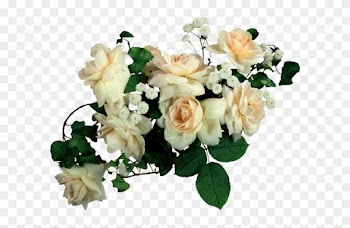 White Roses - Psd Frames For Photoshop Free
