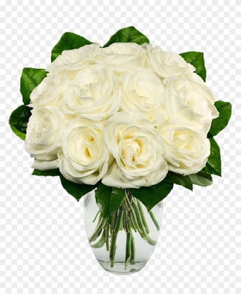 White Roses Transparent Background - One Dozen White Roses - Regular