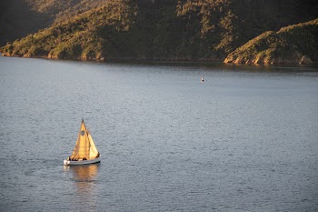 White Sail Boat on Water Near Land