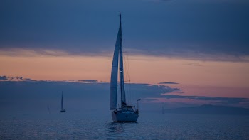 White Sailboat