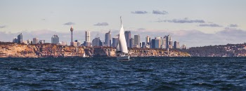 White Sailboat on Body of Water Near City