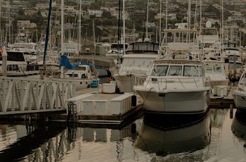 White Sailboats