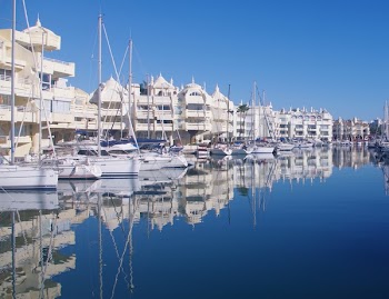 White Sailboats on Body of Water