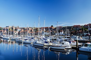 White Sailing Boats Near Shore during Daytime