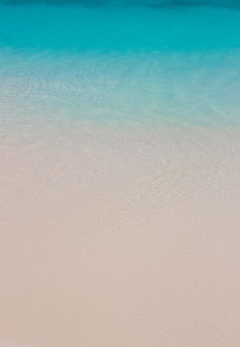 white sand beach with blue sea