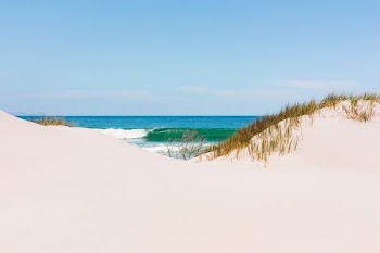 white sand near shore under clear sky at daytime