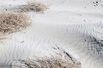 White sand texture. Free public | Free Photo - rawpixel