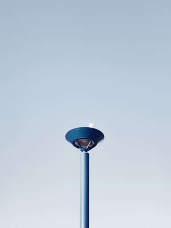 white seagull on top of the post during daytime
