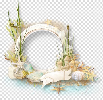 White seashells , frame , Conch flowers decorative ring transparent background PNG clipart