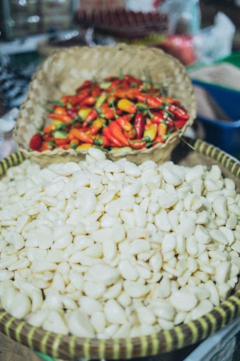 White Seeds in a basket