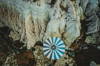 white shell with umbrella decor