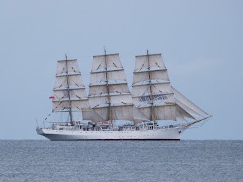 White Ship