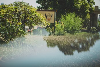White Signpost over Small Body of Water Surrounded by Tall Trees at Daytime