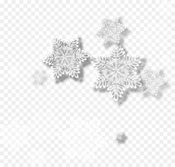 White Snowflake - Vector Snowflakes 