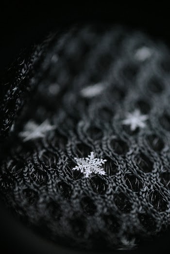 White Snowflakes