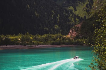 White Speed Boat on Body of Water Across Green Trees