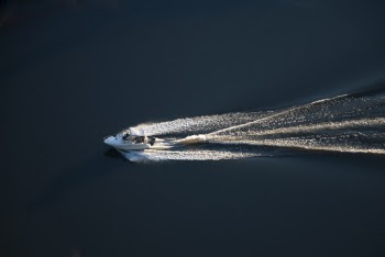 White Speedboat on Body of Water