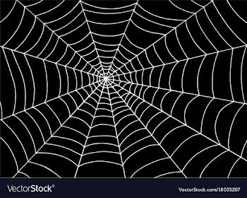 White spider web on black background doodle vector image