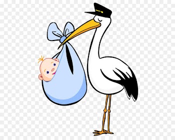 White stork Cartoon Bird Clip art - stork baby PNG 