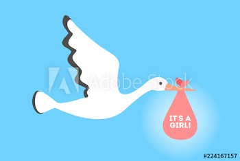 White stork flying with a newborn baby