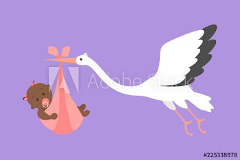 White stork flying with a newborn baby