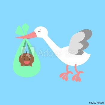 White stork flying with a newborn baby