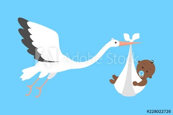 White stork flying with a newborn baby